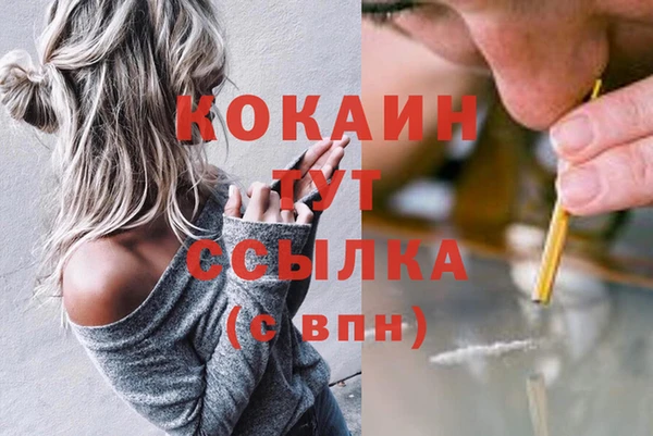 гидропоника Белокуриха